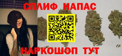 a pvp Краснодар